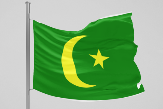 Zastava Zmaj od Bosne