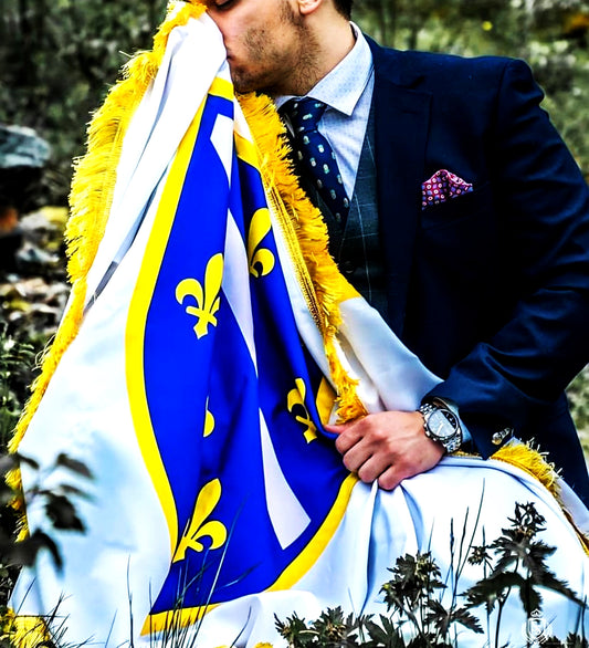 Zastava Republike Bosne i Hercegovine sa ljiljanima