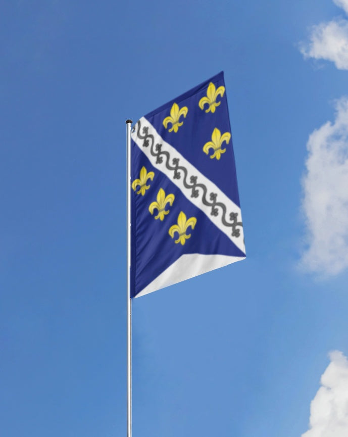 Kraljevska zastava srednjovjekovne Bosne