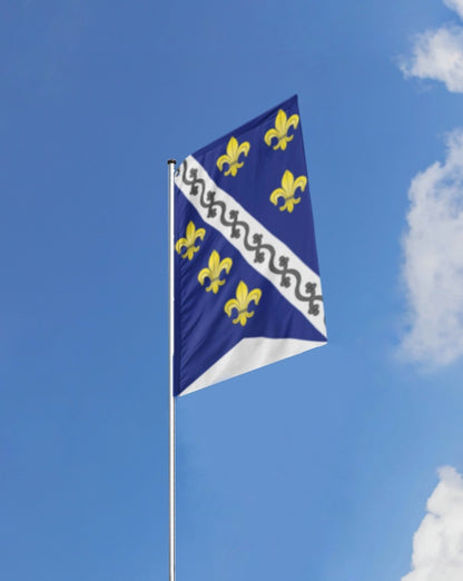 Kraljevska zastava srednjovjekovne Bosne