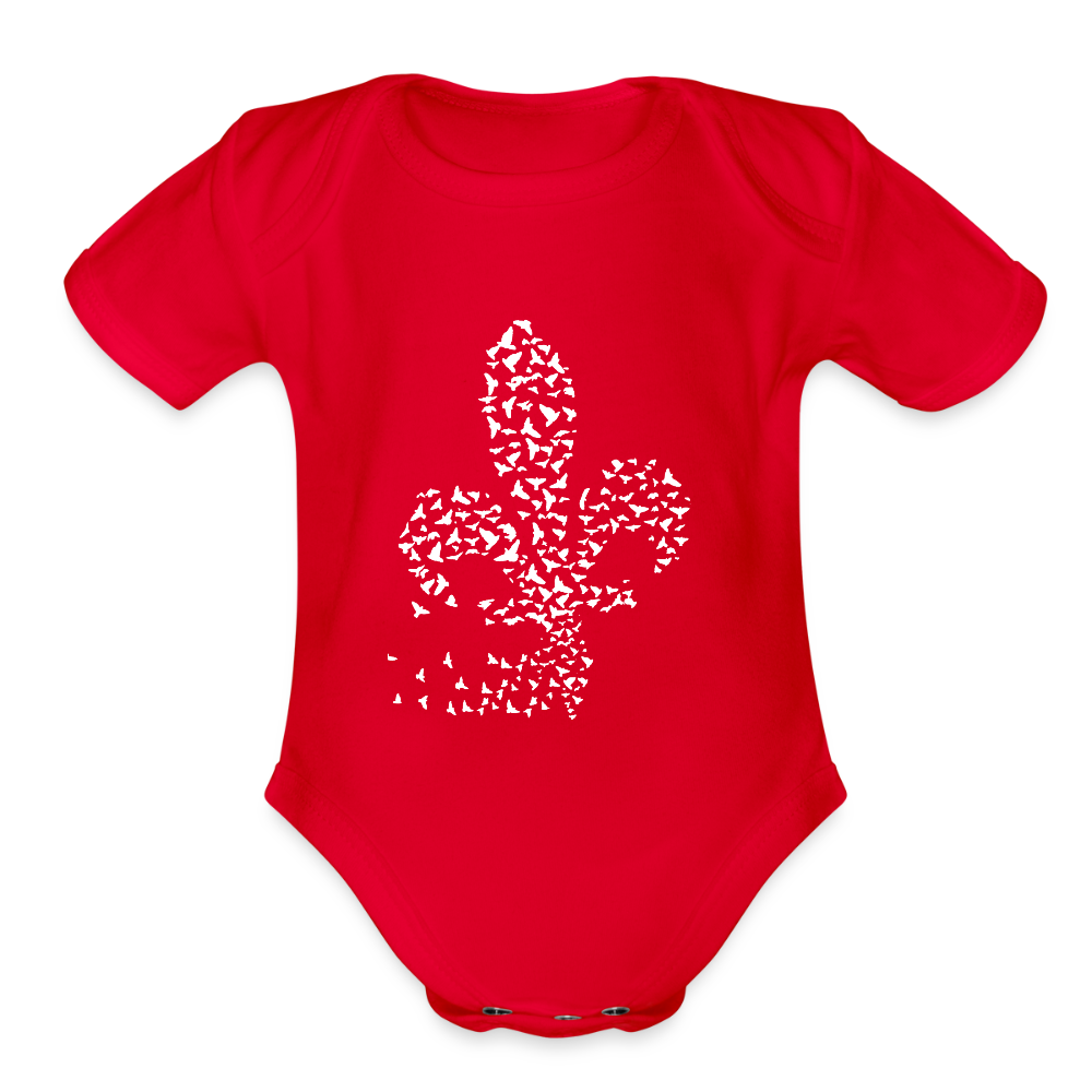 Jato Bosne | Bodi - red