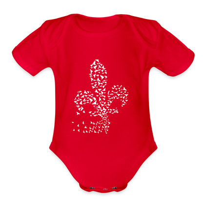 Jato Bosne | Bodi - red