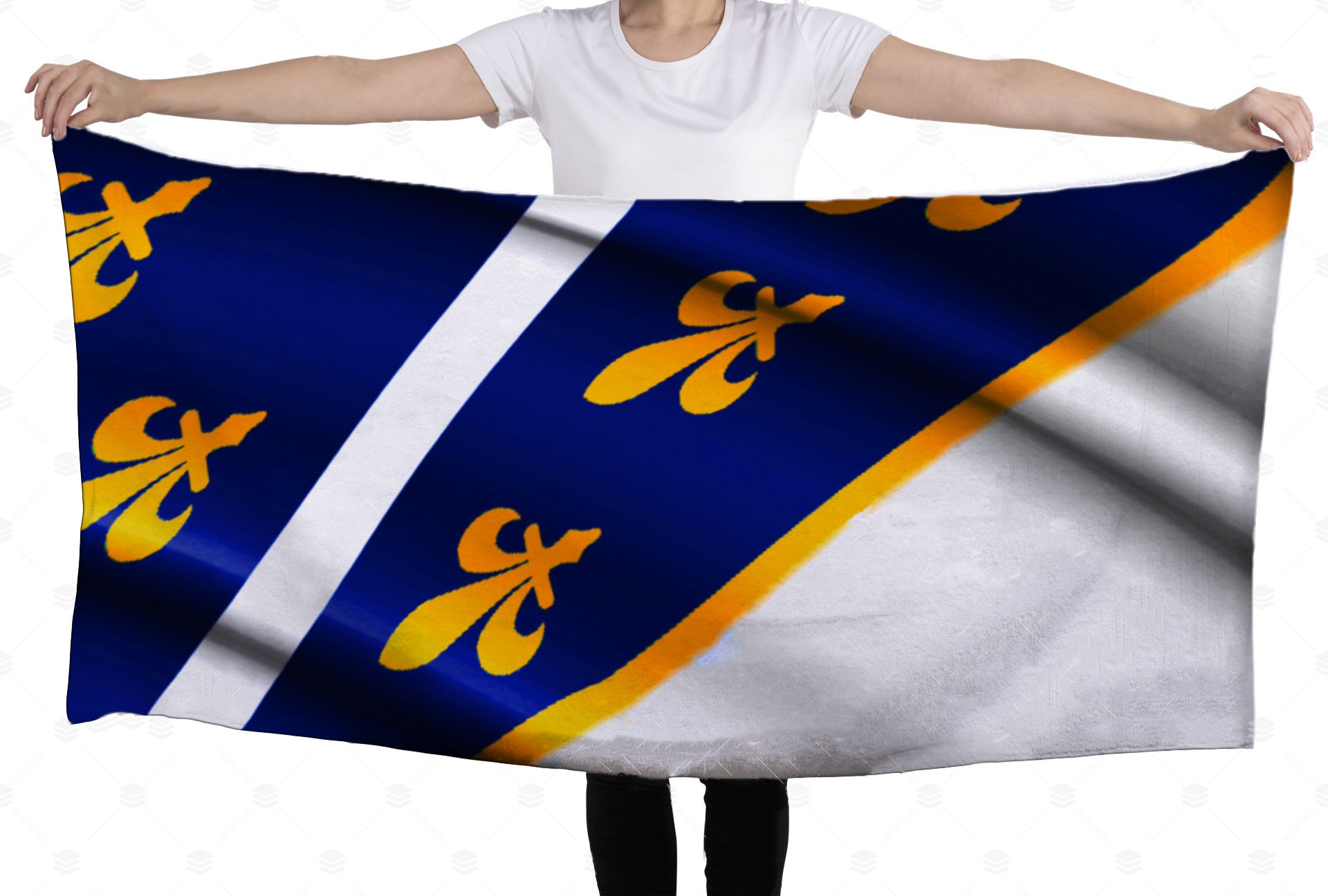 rbih flag | peskir – peškir sa grbom rbih