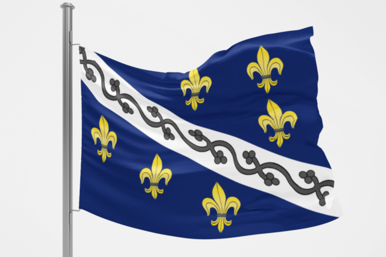 Kraljevska zastava srednjovjekovne Bosne