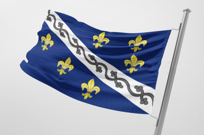 Kraljevska zastava srednjovjekovne Bosne