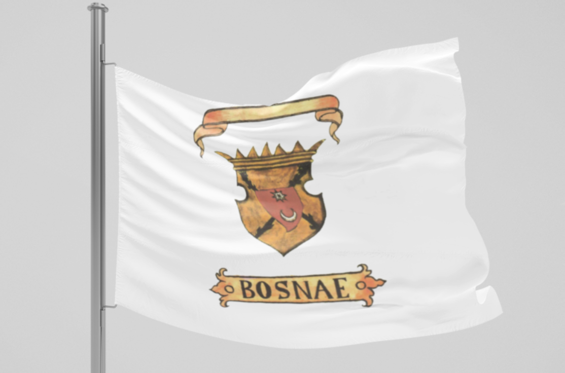 Srednjovjekovna zastava Bosne