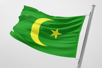 bosanski otpor (zmaj od bosne) | zastava – posteljina sa zmajem od bosne