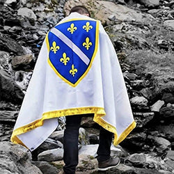 Zastava Republike Bosne i Hercegovine sa ljiljanima