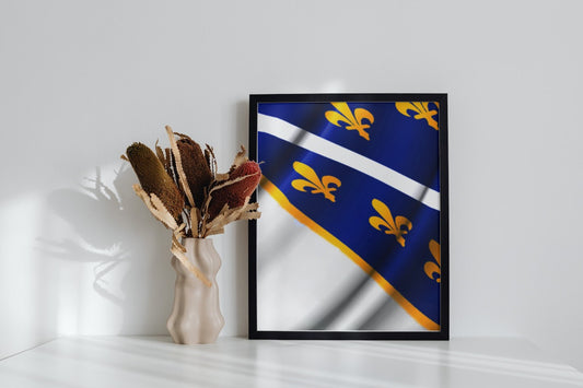 zastava rbih | slika (poster) – slika sa grbom rbih i ljiljanima