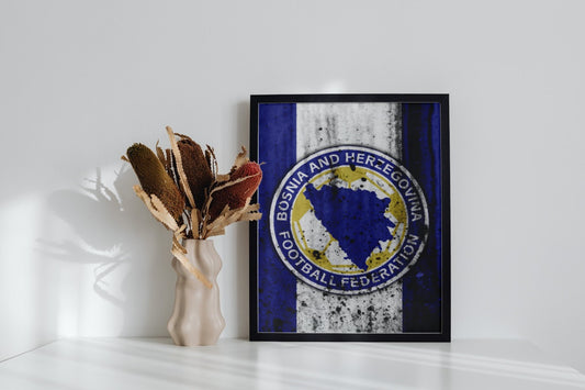 reprezentacija | slika (poster) – slika posvećena bh. reprezentaciji