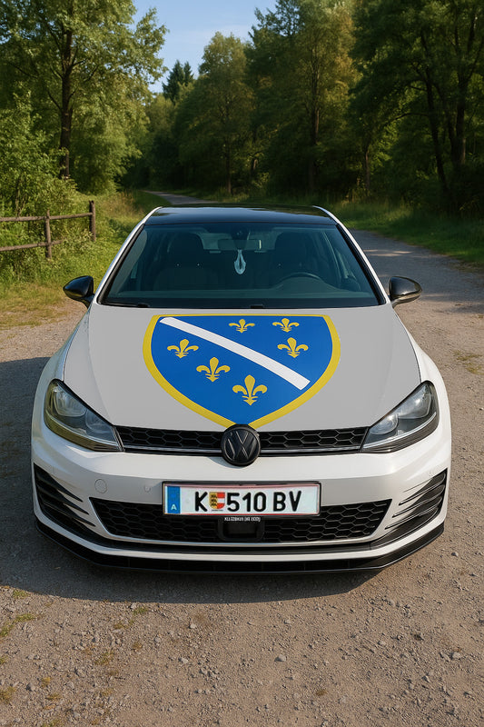 RBiH | Zastava za auto