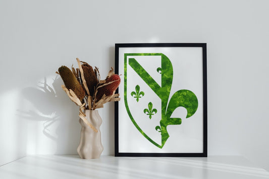 copy of bosna grafitiy | slika (poster) – slika iz moja bosna shop