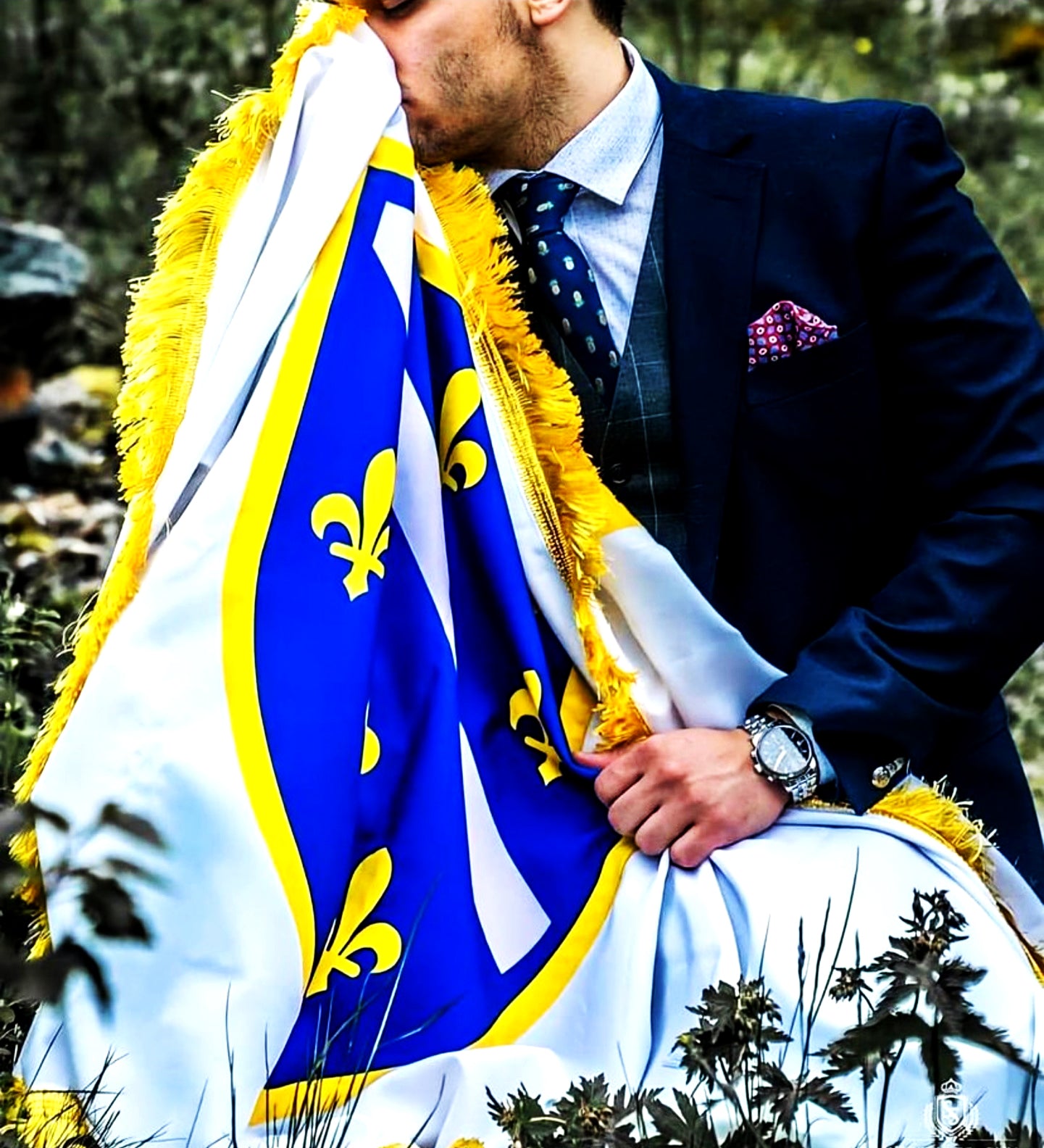 Zastava Republike Bosne i Hercegovine sa ljiljanima